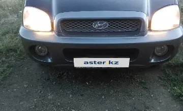 Hyundai Santa Fe 2003 года за 2 500 000 тг. в Карагандинская область фото 1