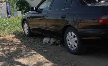 Toyota Carina E 1992 года за 1 000 000 тг. в Кызылординская область фото 3