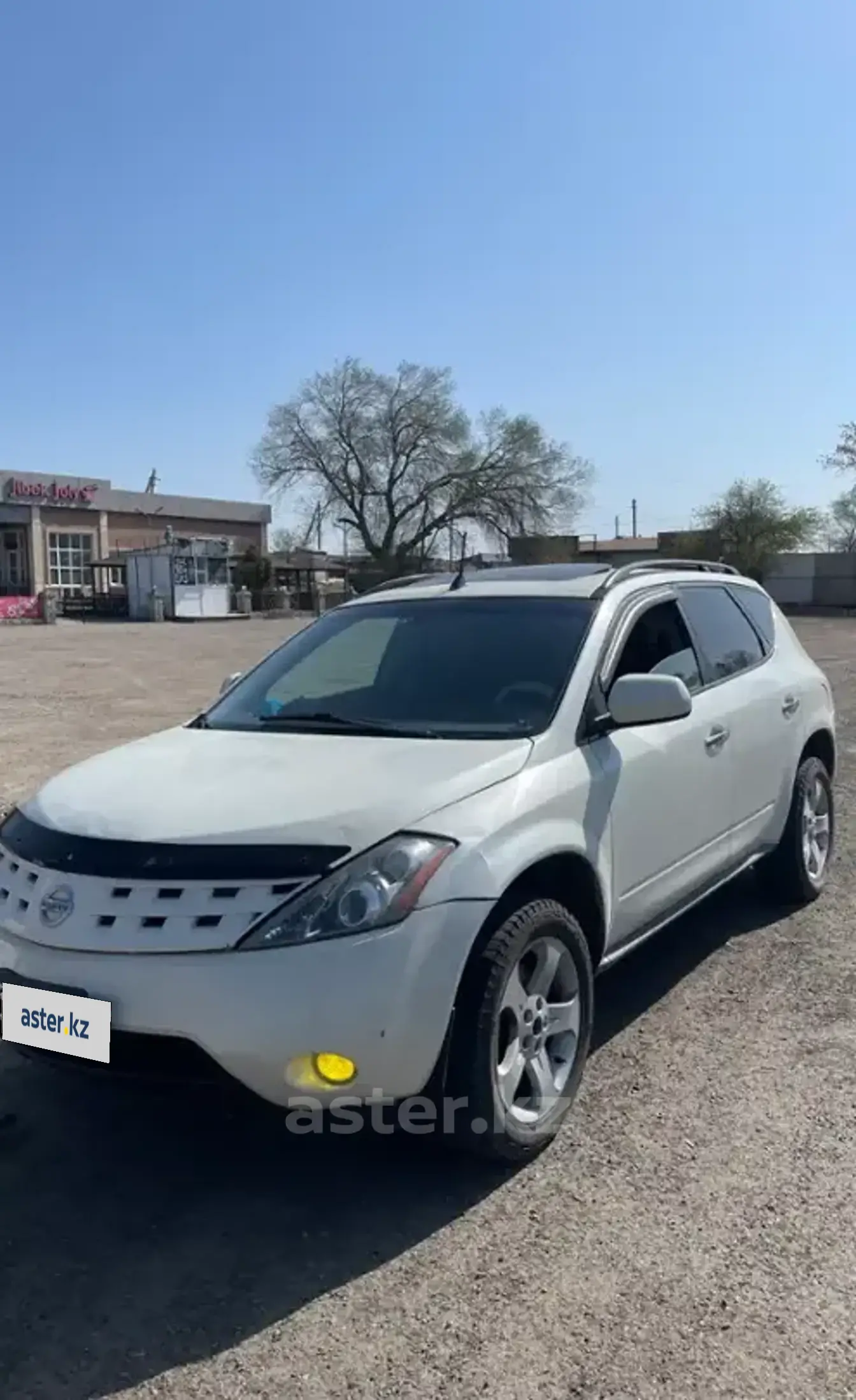 Nissan Murano 2007 года за 3 100 000 тг. в Алматы фото 1