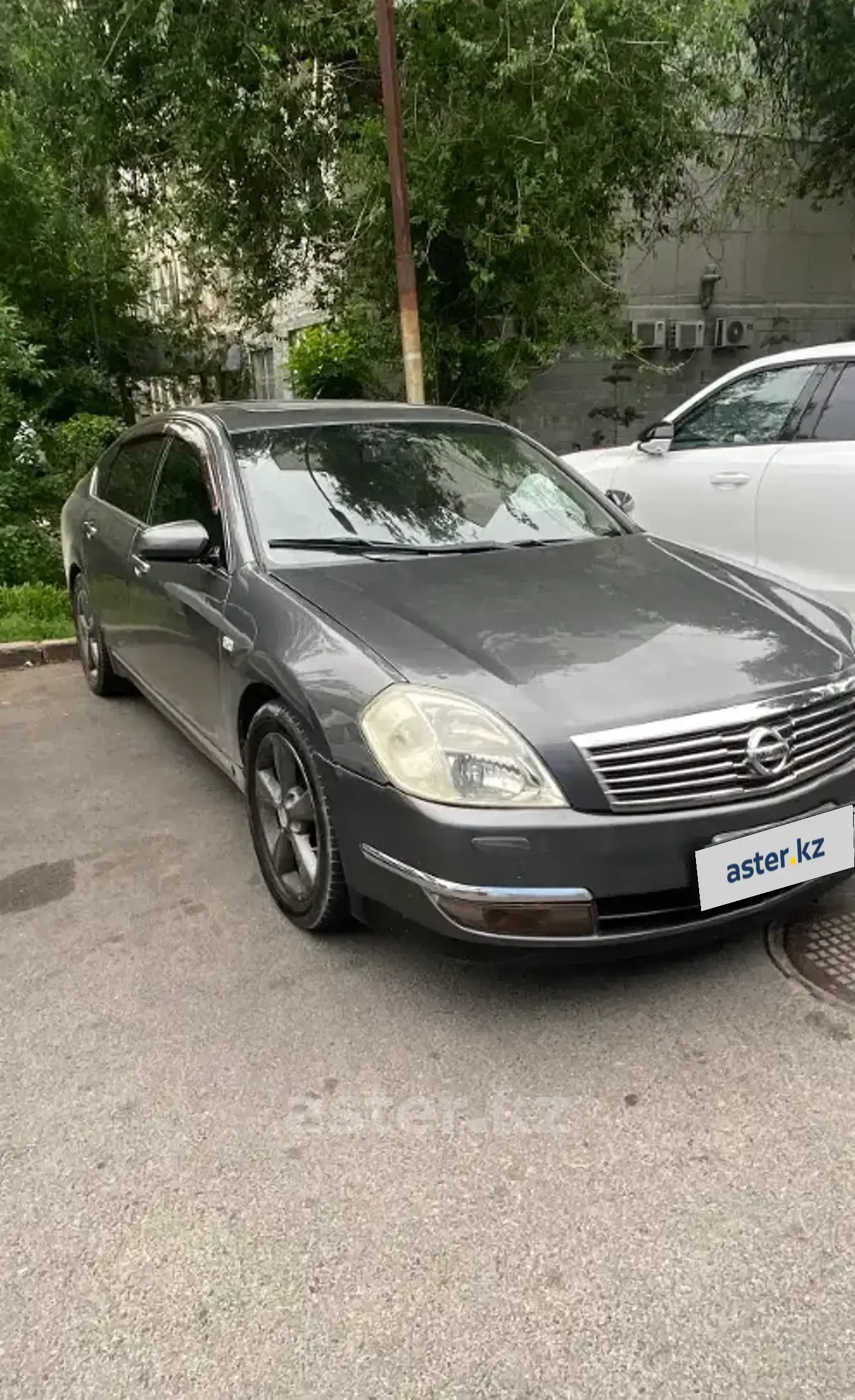 Nissan Teana 2006 года за 3 000 000 тг. в Алматы фото 2