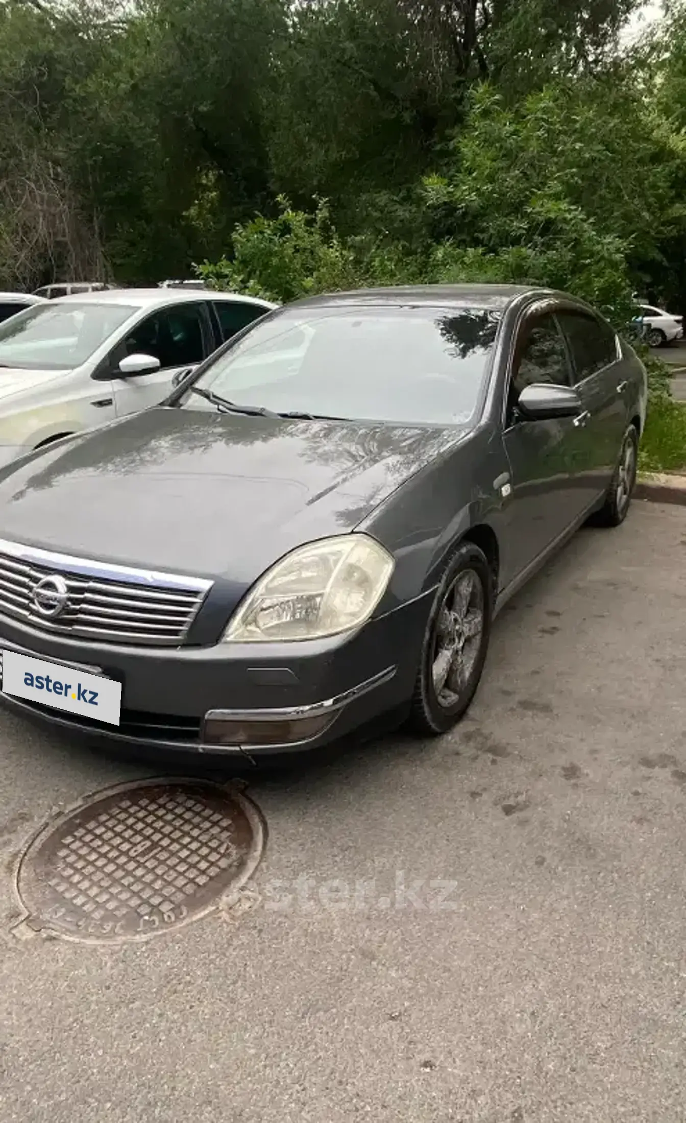 Nissan Teana 2006 года за 3 000 000 тг. в Алматы фото 1