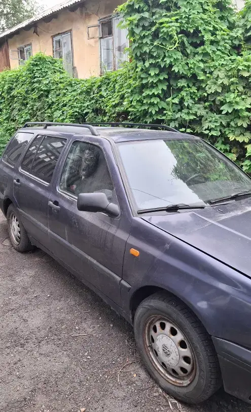 Volkswagen Golf 1994 года за 700 000 тг. в Алматы фото 2
