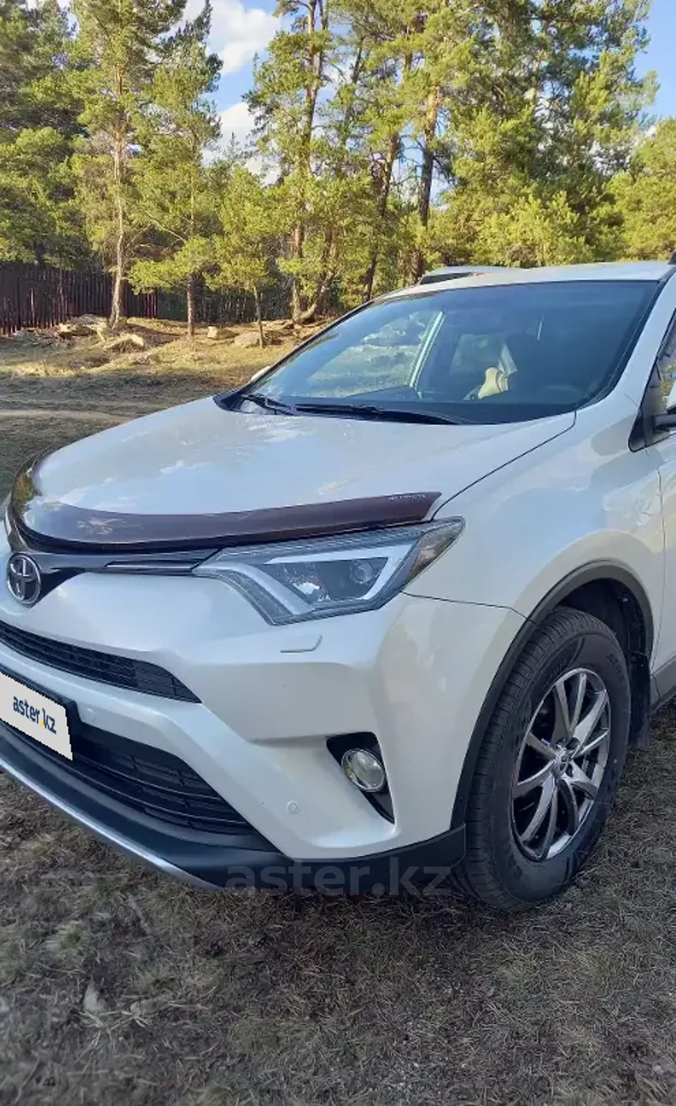 Toyota RAV4 2018 года за 13 500 000 тг. в Караганда фото 3