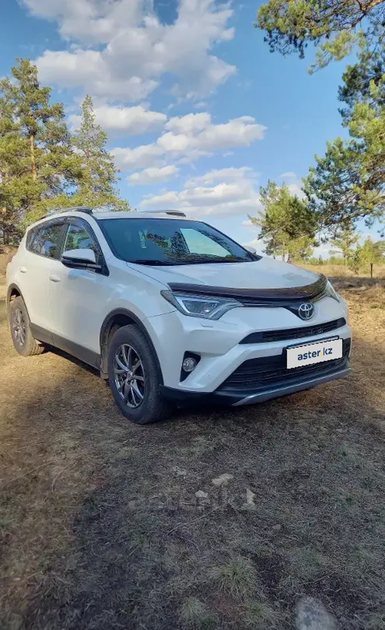 Toyota RAV4 2018 года за 13 500 000 тг. в Караганда фото 4