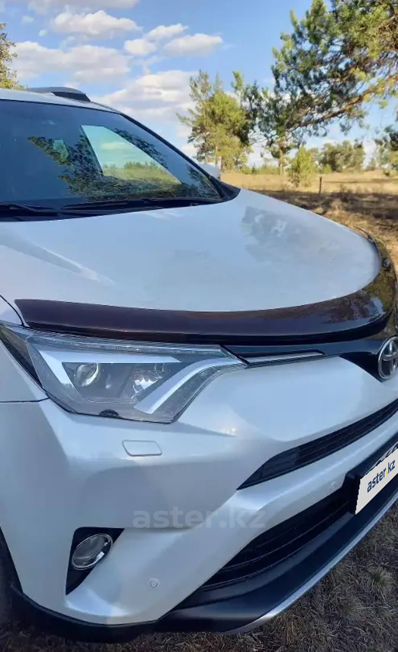 Toyota RAV4 2018 года за 13 500 000 тг. в Караганда