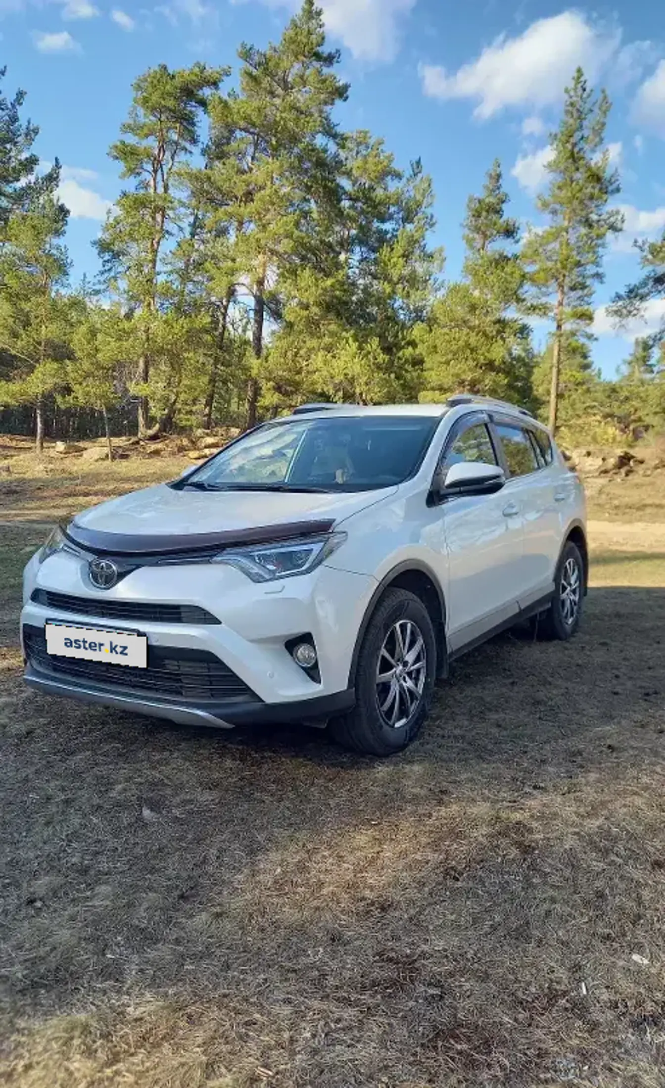 Toyota RAV4 2018 года за 13 500 000 тг. в Караганда фото 1