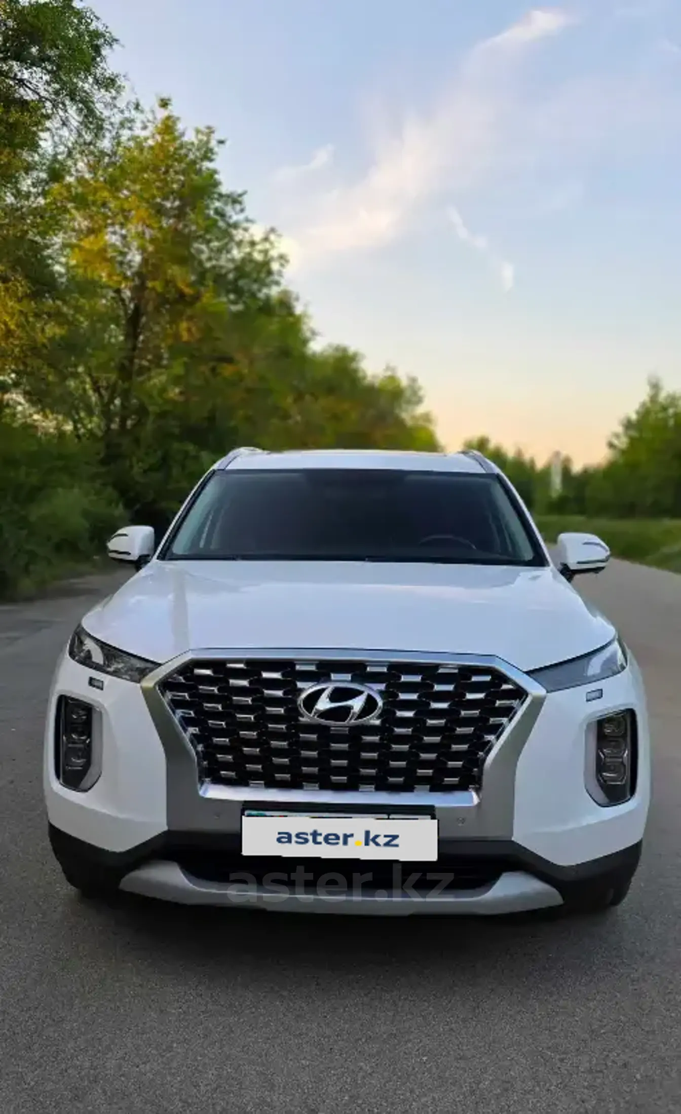 Hyundai Palisade 2022 года за 22 000 000 тг. в Костанай фото 1