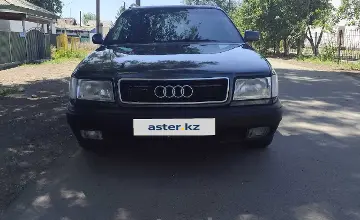 Audi 100 1992 года за 2 200 000 тг. в Талдыкорган фото 1