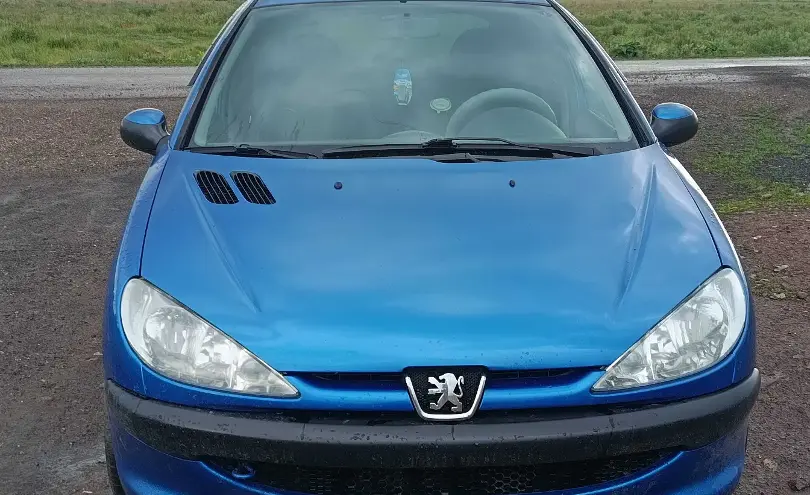 Peugeot 206 2007 года за 2 300 000 тг. в Северо-Казахстанская область