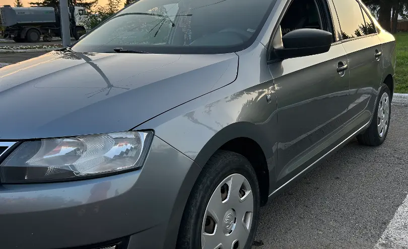 Skoda Rapid 2018 года за 4 800 000 тг. в Акмолинская область