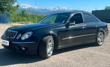 Mercedes-Benz E-Класс 2004 года за 6 500 000 тг. в Алматы фото 1