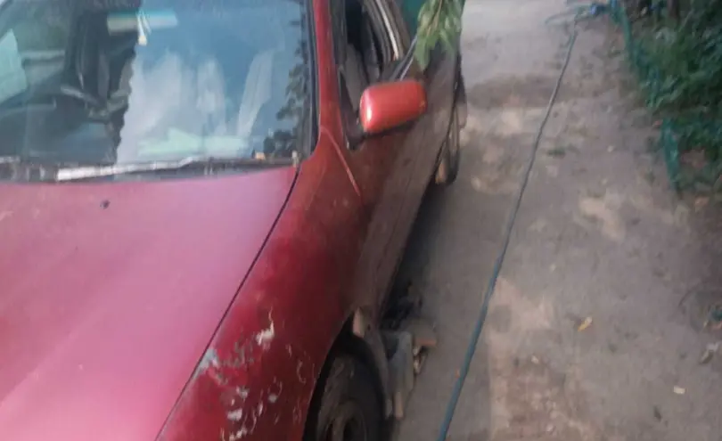Nissan Pulsar 1996 года за 700 000 тг. в Алматы фото 2