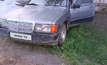 Mercedes-Benz 190 (W201) 1992 года за 450 000 тг. в Акмолинская область фото 2