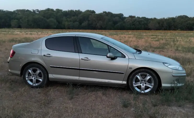 Peugeot 407 2005 года за 2 400 000 тг. в Алматинская область фото 2