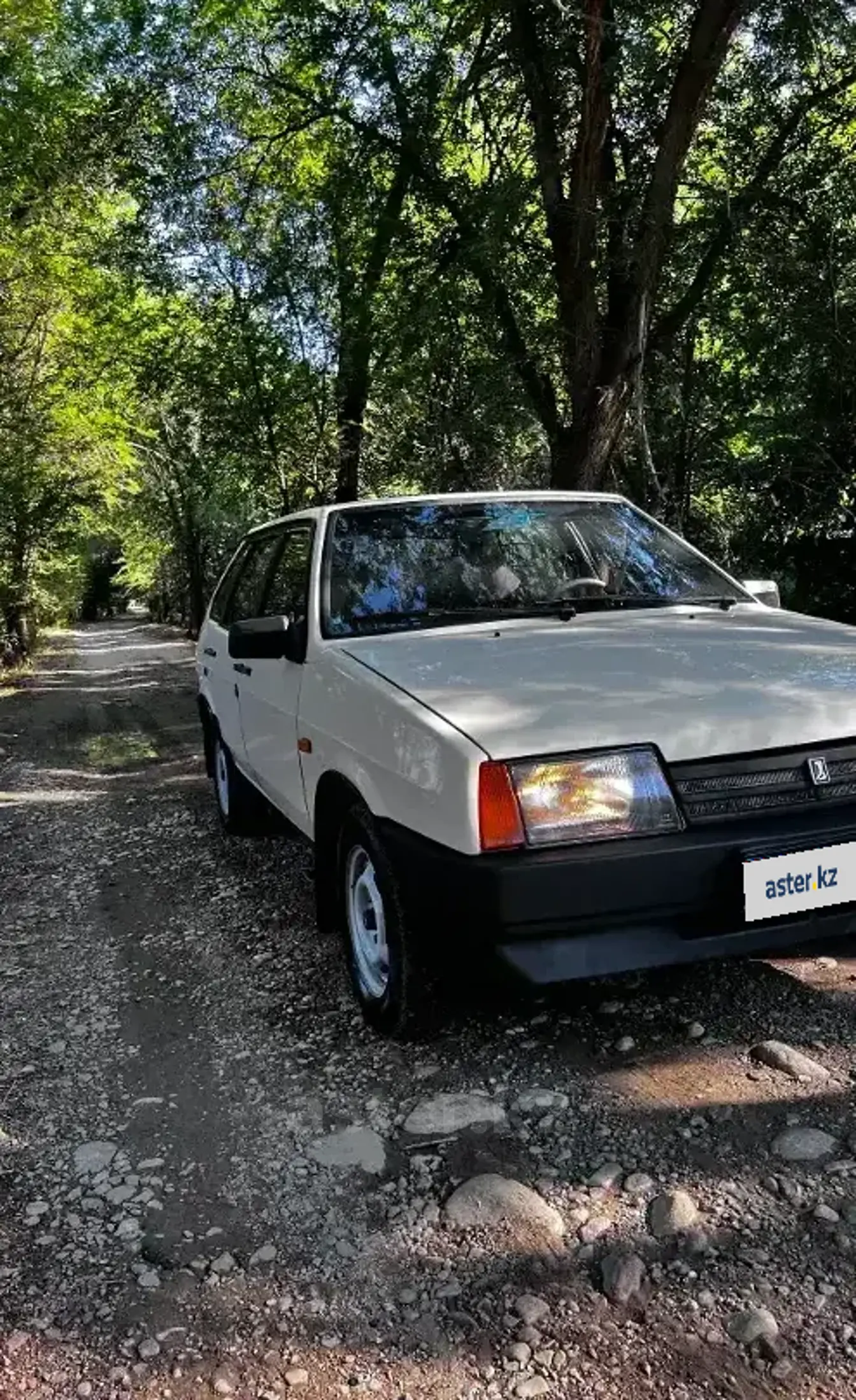 LADA (ВАЗ) 2109 1993 года за 1 200 000 тг. в Алматы