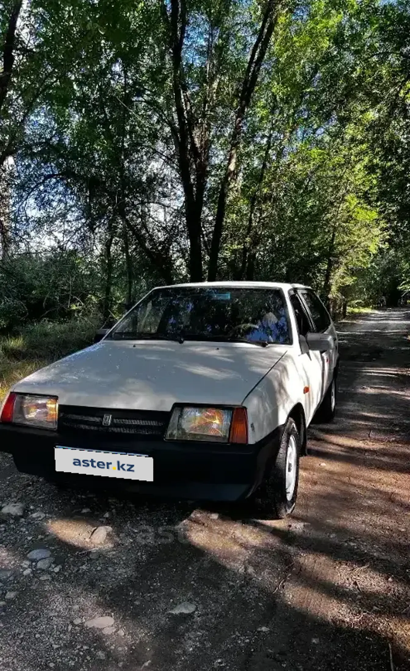 LADA (ВАЗ) 2109 1993 года за 1 200 000 тг. в Алматы фото 1