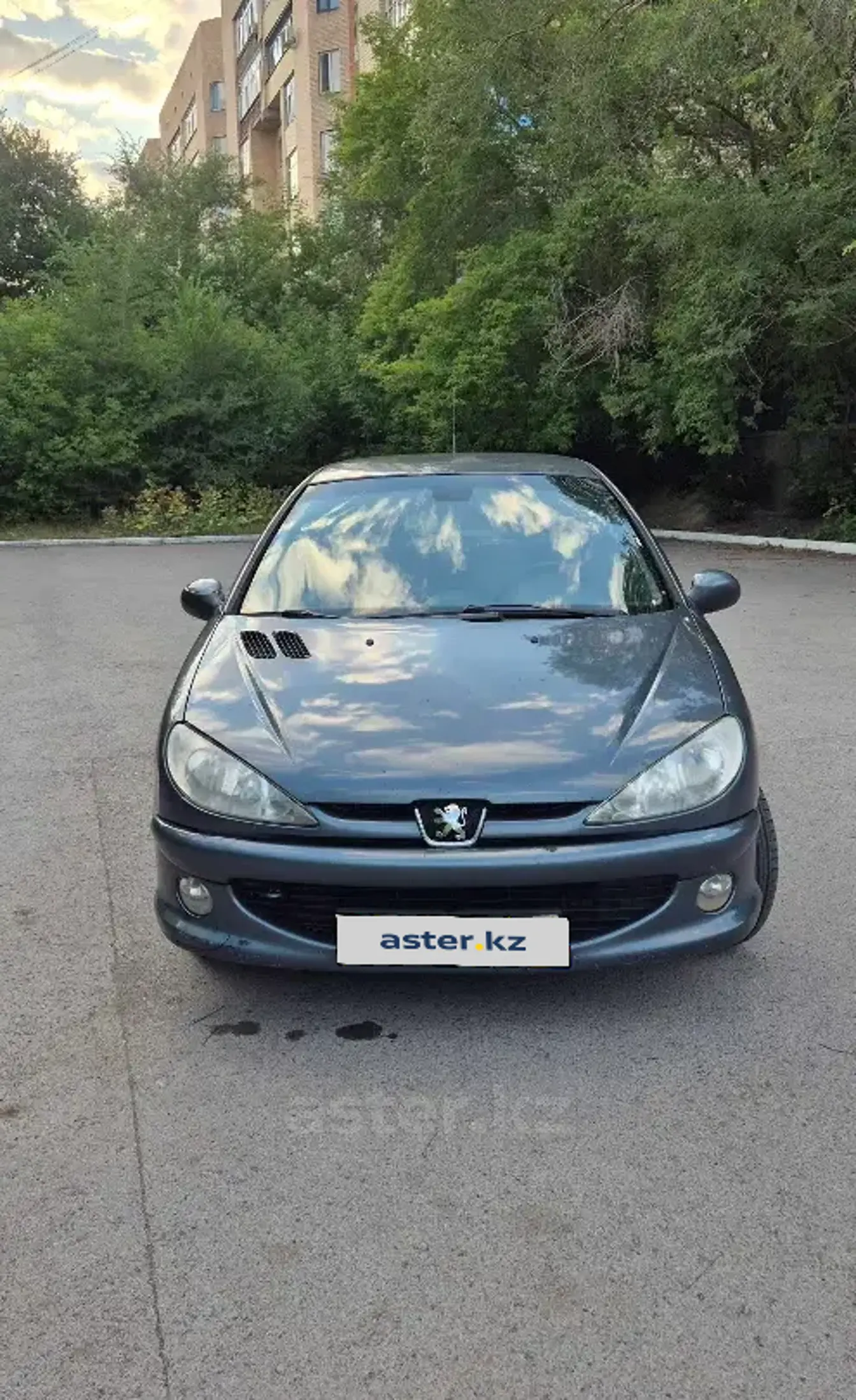 Peugeot 206 2006 года за 1 600 000 тг. в Карагандинская область фото 2