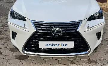 Lexus NX 2019 года за 17 000 000 тг. в Карагандинская область фото 1
