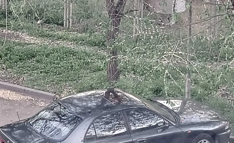 Mitsubishi Galant 1993 года за 1 100 000 тг. в Талдыкорган фото 4