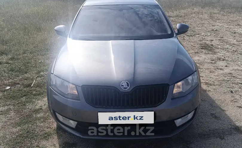 Skoda Octavia 2014 года за 5 100 000 тг. в Кокшетау