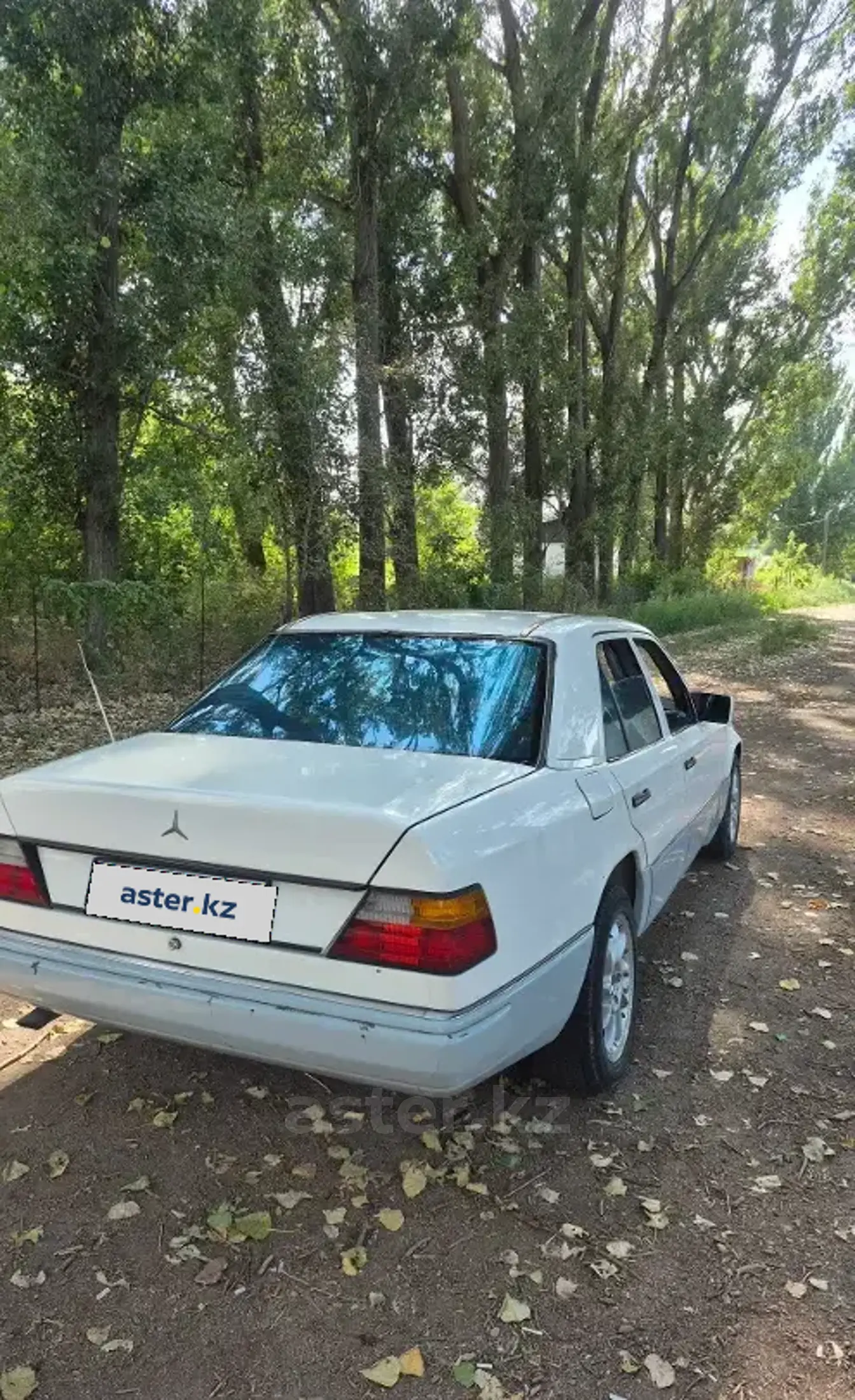 Mercedes-Benz E-Класс 1992 года за 1 100 000 тг. в Алматы фото 3
