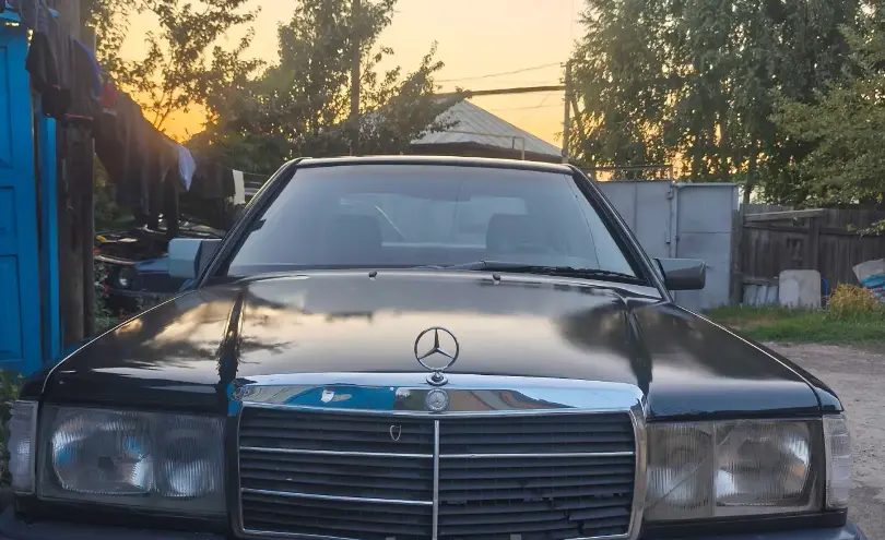 Mercedes-Benz 190 (W201) 1989 года за 500 000 тг. в Алматинская область фото 1