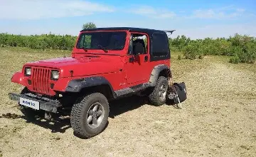 Jeep Wrangler 1995 года за 3 990 000 тг. в Алматы фото 1