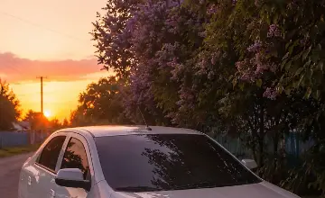 Chevrolet Cobalt 2024 года за 4 950 000 тг. в Павлодар