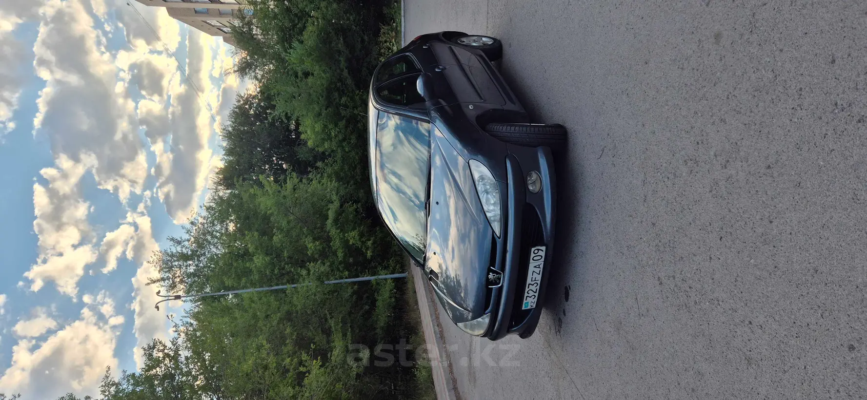 Peugeot 206, 2006