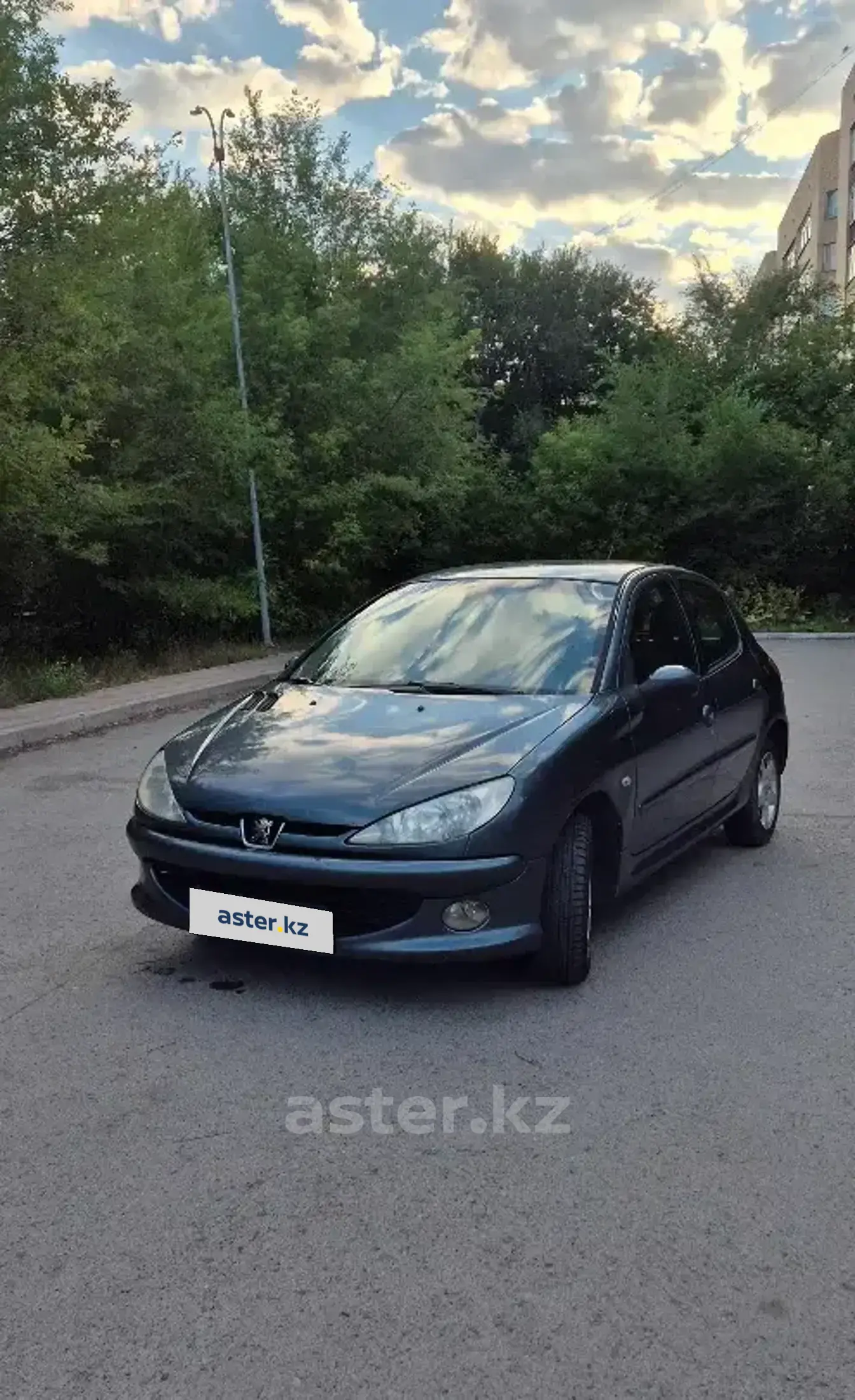 Peugeot 206 2006 года за 1 600 000 тг. в Карагандинская область фото 1