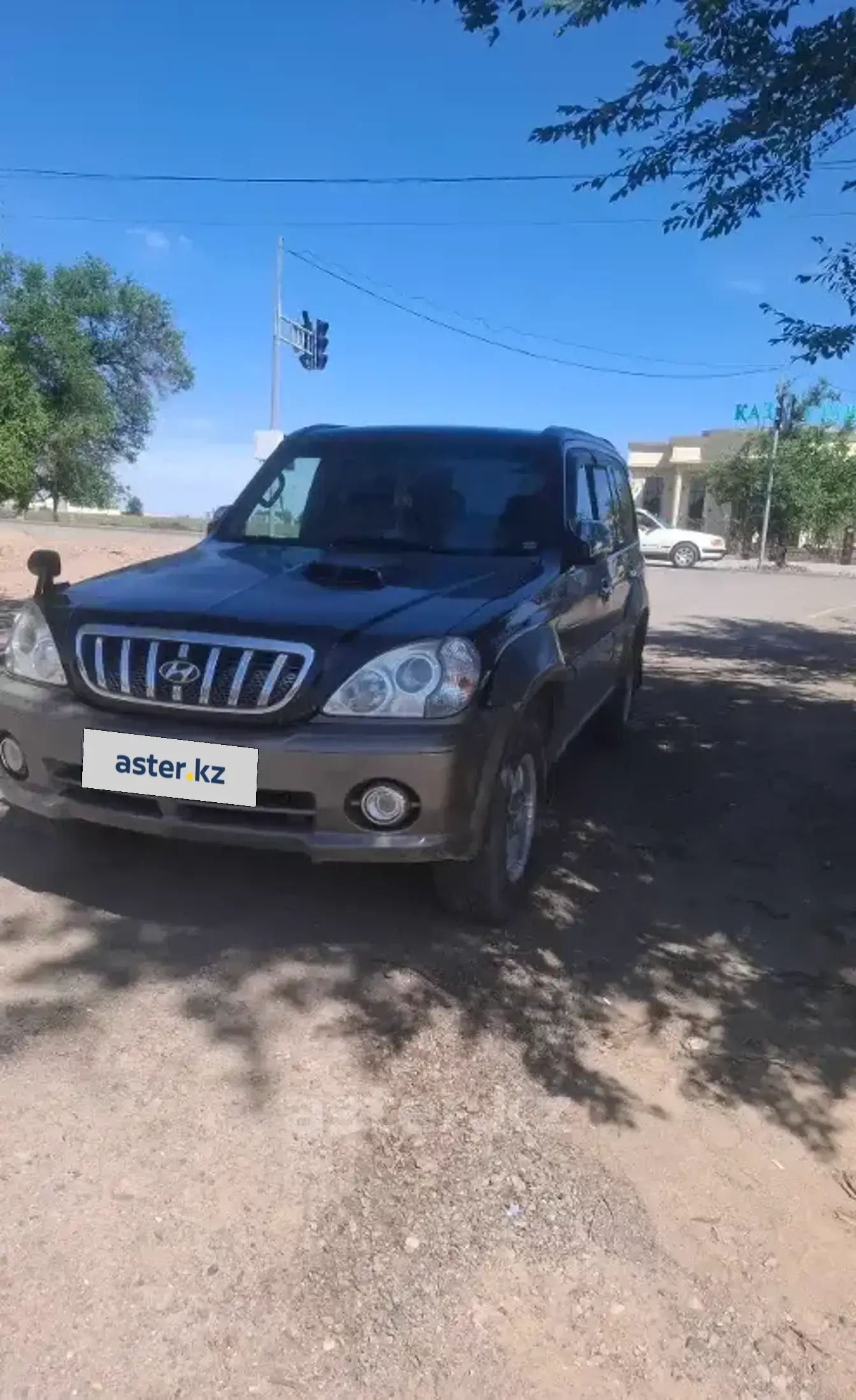 Hyundai Terracan 2001 года за 3 200 000 тг. в Жамбылская область фото 1