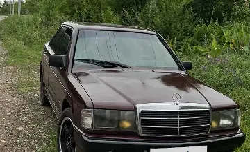 Mercedes-Benz 190 (W201) 1992 года за 1 100 000 тг. в Алматинская область фото 2
