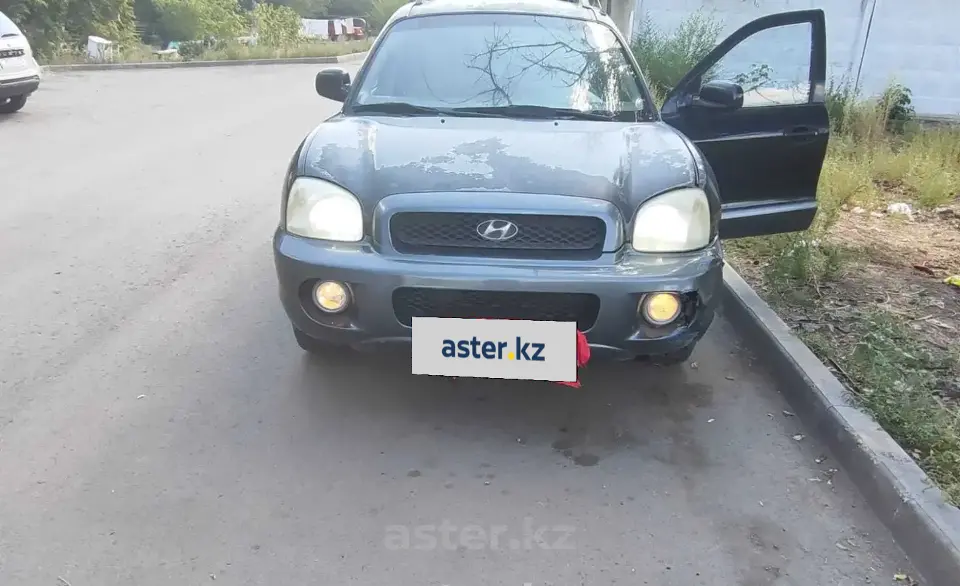 Hyundai Santa Fe 2004 года за 1 900 000 тг. в Караганда фото 1