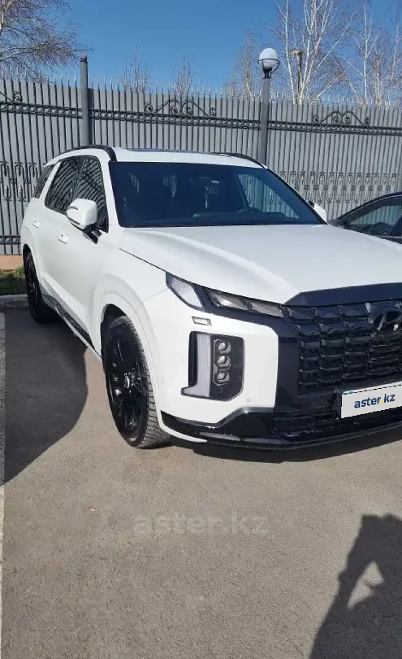 Hyundai Palisade 2024 года за 24 700 000 тг. в Астана фото 2